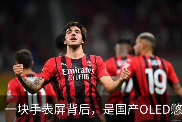 一块手表屏背后，是国产OLED憋了20年的大招
